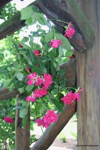 Trellis